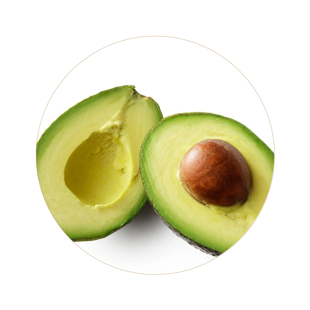 Avocado natural oil used in Rivage skincare for deep hydration and nourishment
