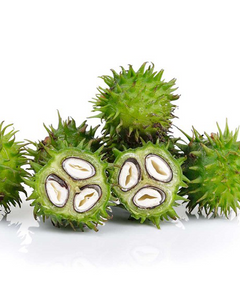 Castor Oil