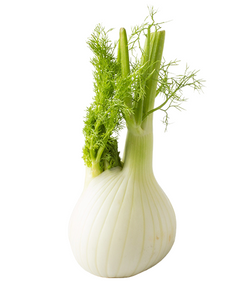 Fennel