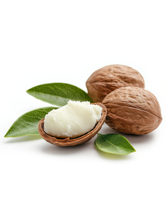 Shea Butter