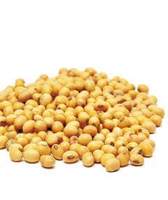 Soy Beans